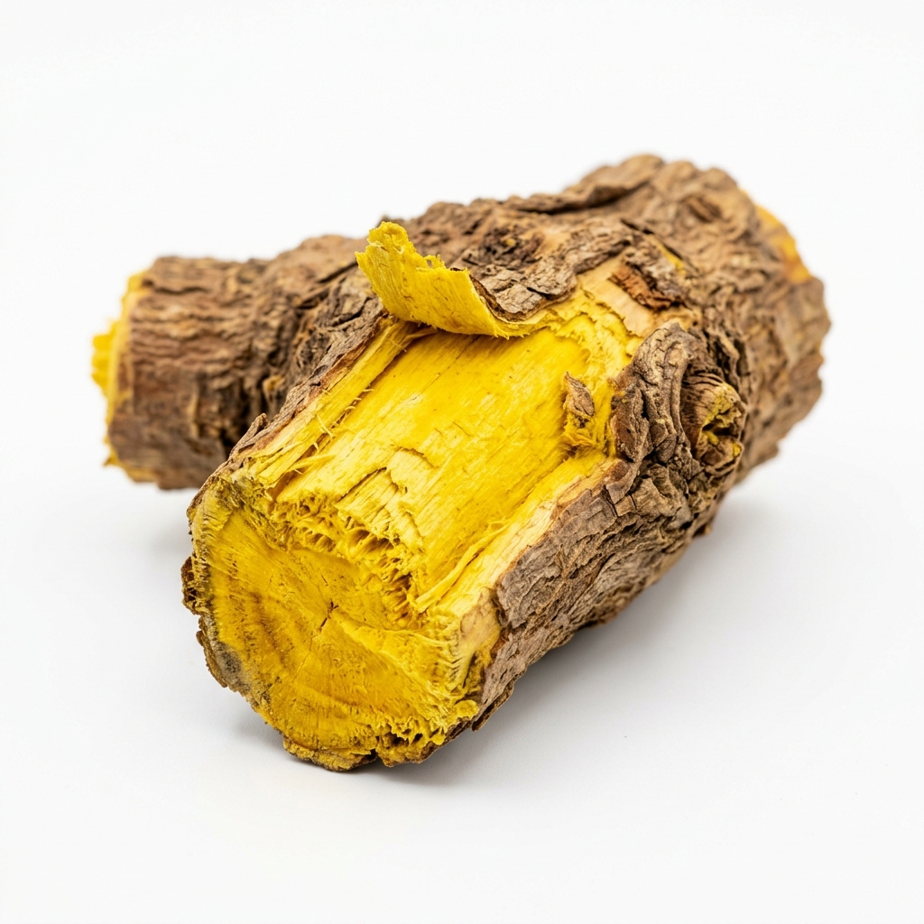Berberina